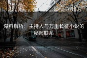 爆料解析：主持人与万里长征小说的秘密联系