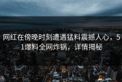 网红在傍晚时刻遭遇猛料震撼人心，51爆料全网炸锅，详情揭秘