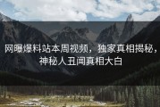 网曝爆料站本周视频，独家真相揭秘，神秘人丑闻真相大白