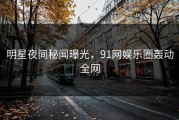 明星夜间秘闻曝光，91网娱乐圈轰动全网