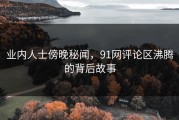 业内人士傍晚秘闻，91网评论区沸腾的背后故事