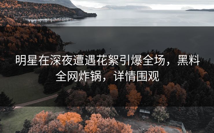 明星在深夜遭遇花絮引爆全场，黑料全网炸锅，详情围观