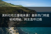 黑料社吃瓜重磅来袭！最新热门明星秘闻揭秘，网友直呼过瘾