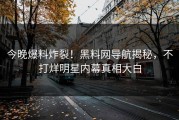 今晚爆料炸裂！黑料网导航揭秘，不打烊明星内幕真相大白