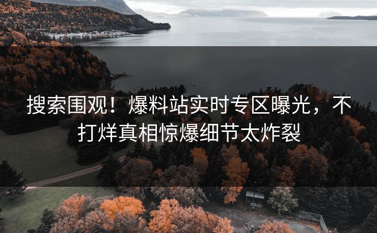 搜索围观！爆料站实时专区曝光，不打烊真相惊爆细节太炸裂